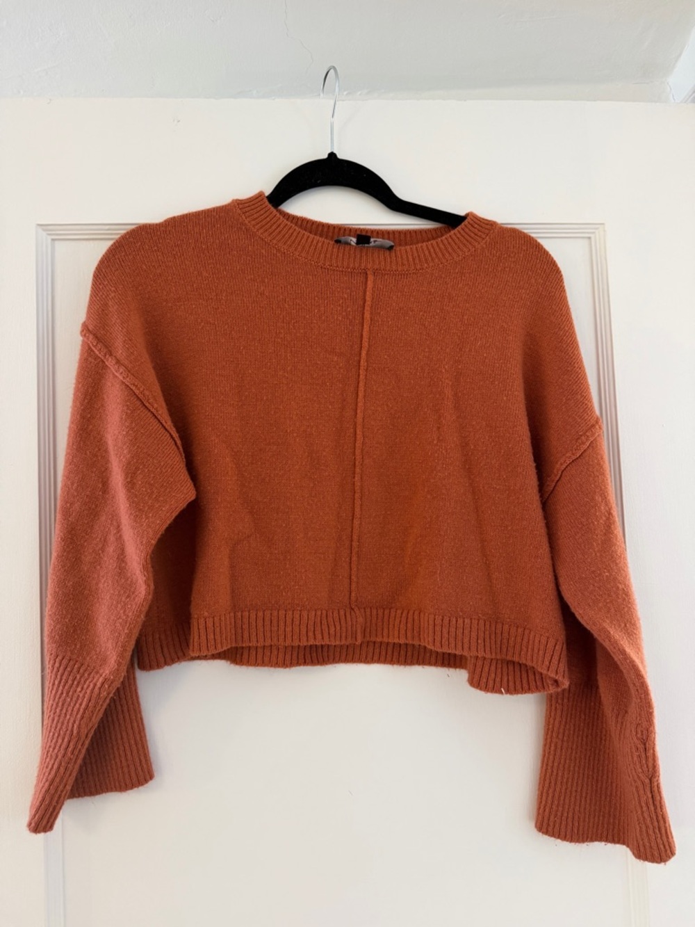 Free with purchase! Lulu's Cropped Rust Orange Crewneck Sweater
